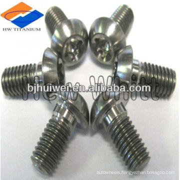 Gr5 titanium fastening screw Ti natural